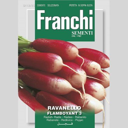 Reďkovka – FLAMBOYANT 3