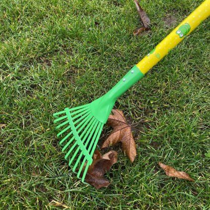 žaby1
