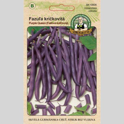 Fazula Purple Queen 1