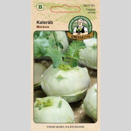 Kalerab Moravia 1