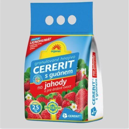 jahody cererit (1)