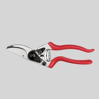 felco321 l PhotoRoom (4)
