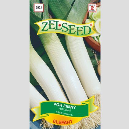 Zelseed semena por elefant 1