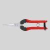 felco321 l PhotoRoom (1)