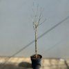 blur Photoroom (16)