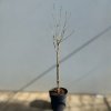 blur Photoroom (16)