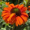 DM foto 2026 08 07T145006.586