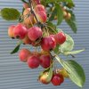 IMG E3250[1]